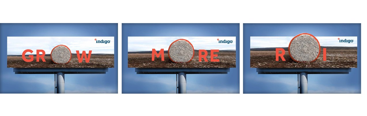 Indigo_Brand Outdoor